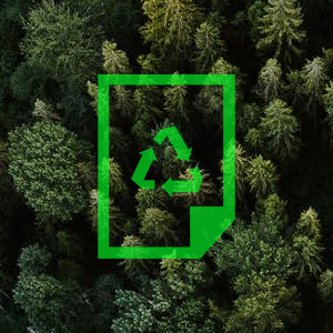 Recycle symbol over forest beneath